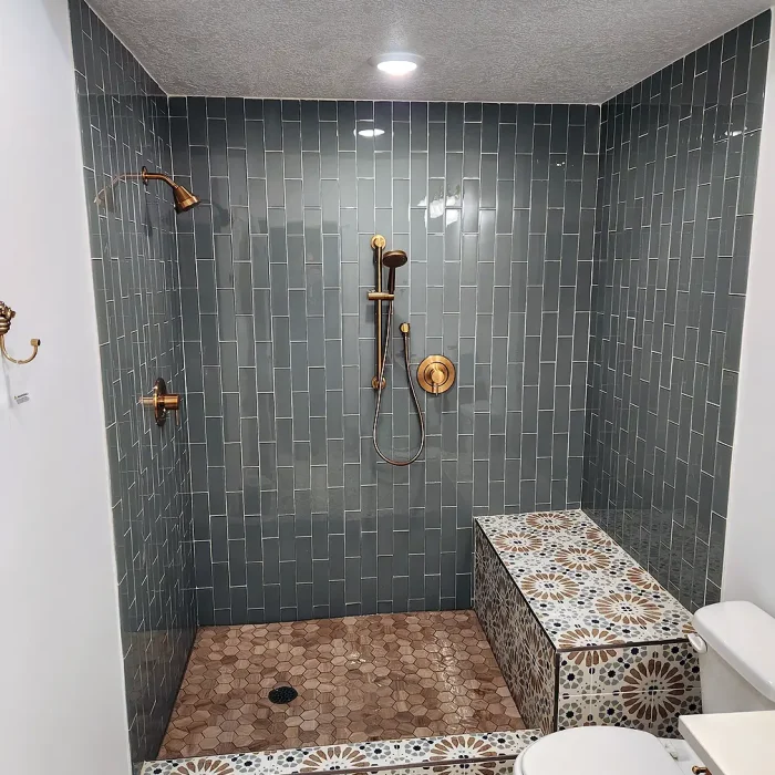 Basement Finishing Utah featuring a custom shower with tile work and a Euro Glass door