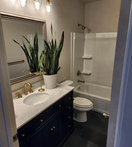 Santaquin Utah Basement Finishing- basement bathroom vanity with mirror lighting and gold fixtures